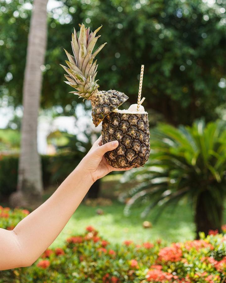 Blue Tree Towers Sao Luis酒店 外观 照片 Pineapple juice