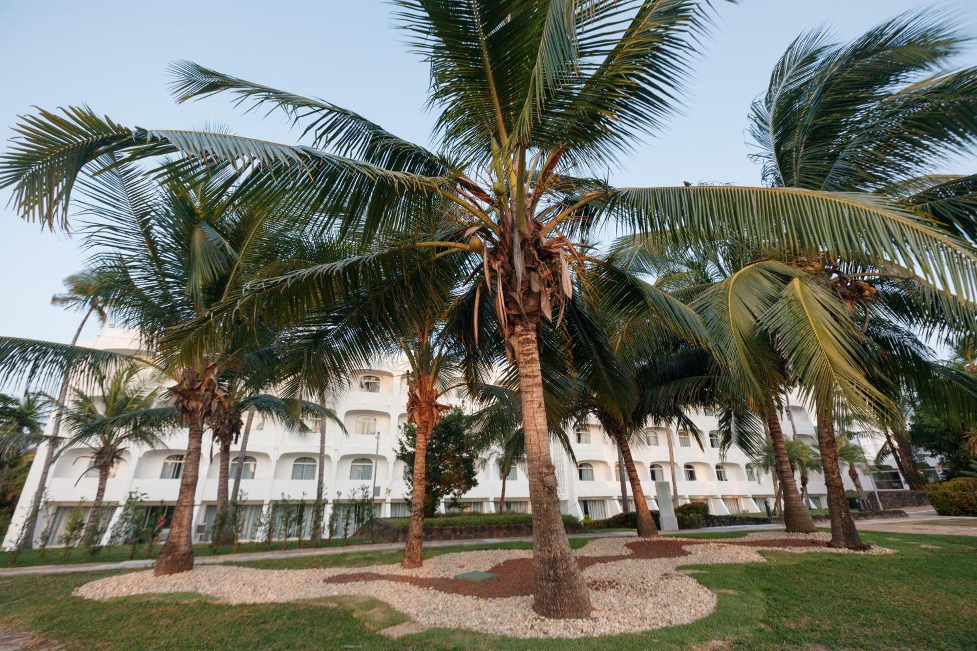 Blue Tree Towers Sao Luis酒店 外观 照片 Coconut trees in the city